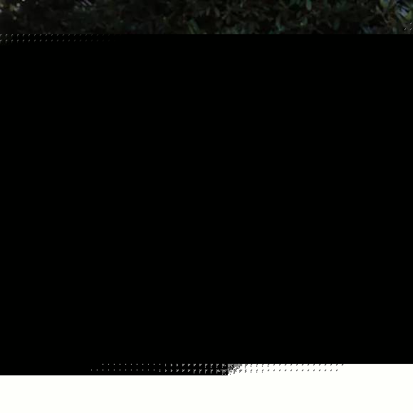 八仙饭店之人肉叉烧包