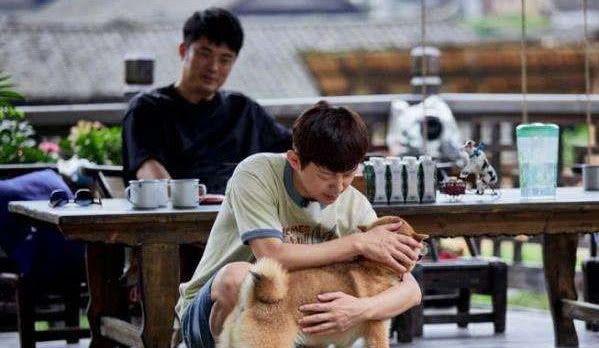 全境封锁：特工起源